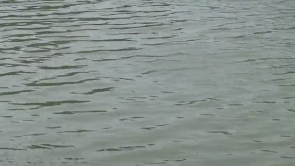 Water Surface Close View Reflective Water Surface Waves Ripple Sunset — Stock Video