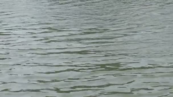 Surface de l'eau. Vue rapprochée sur la surface réfléchissante de l'eau avec vagues et ondulation. et coucher de soleil .