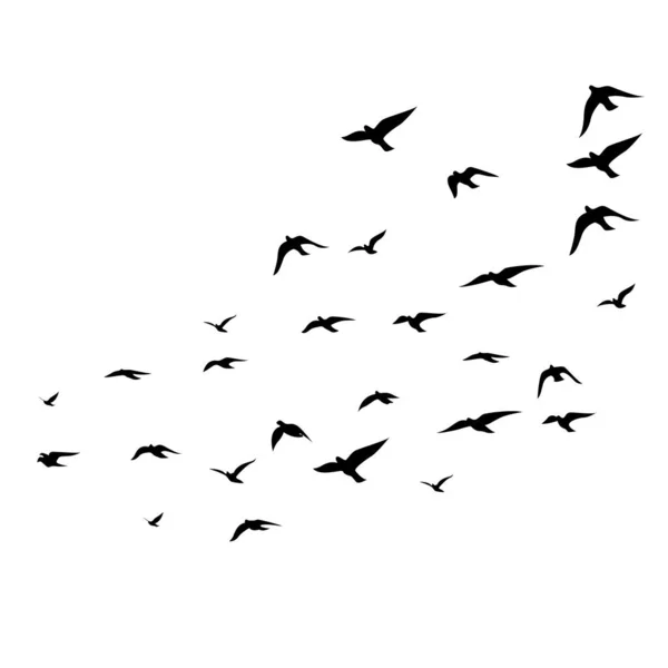 白い背景に空飛ぶ鳥のシルエット ベクトルイラスト 隔離された鳥が飛んでる タトゥーデザイン — ストックベクタ