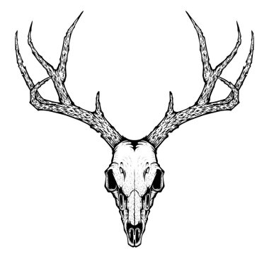 deer skull vector illustration for tattoo, printing on t-shirts, posters and other items. animal skeleton drawing. wildlife tattoo symbol design.
