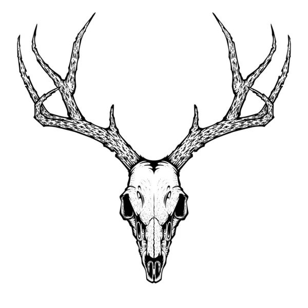 Illustration Vectorielle Crâne Cerf Pour Tatouage Impression Sur Shirts Affiches — Image vectorielle