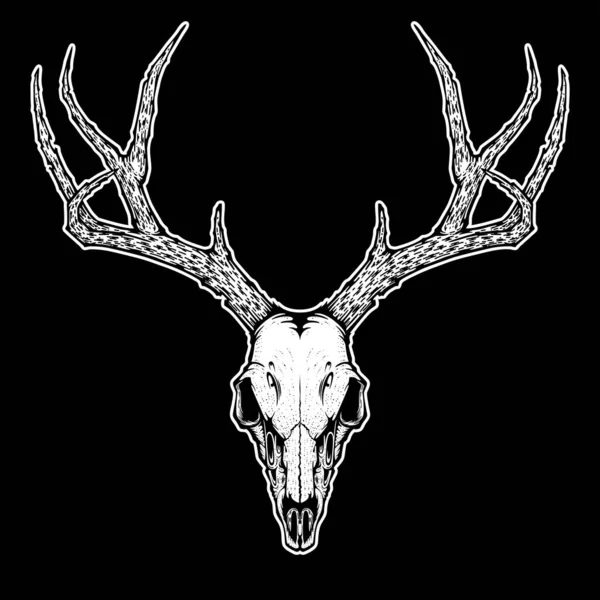 Crâne Cerf Avec Fond Isolé Illustration Vectorielle Pour Tatouage Impression — Image vectorielle