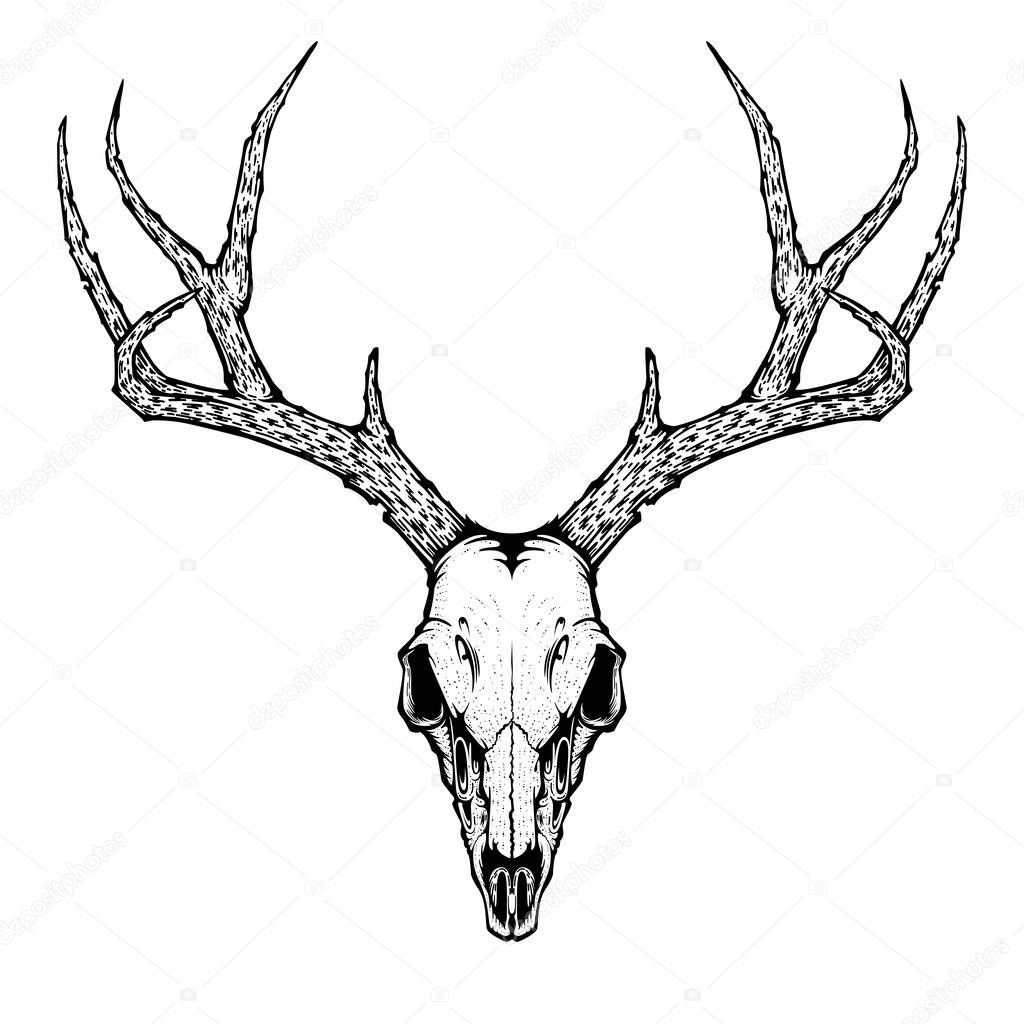 deer skull vector illustration for tattoo, printing on t-shirts, posters and other items. animal skeleton drawing. wildlife tattoo symbol design.