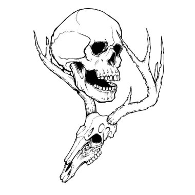 İzole edilmiş arka planda geyik kafatası ve insan kafatası. Dövme için vektör çizimi, tişörtler, posterler ve diğer eşyalar. Hayvan iskeleti çizimi. Vahşi yaşam dövme tasarımı.