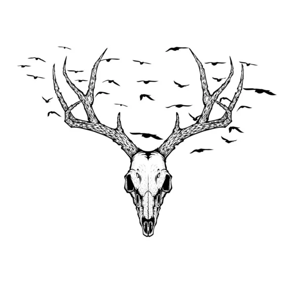Crâne Cerf Silhouette Mouche Oiseau Illustration Vectorielle Pour Tatouage Impression — Image vectorielle