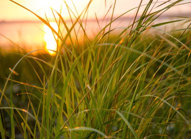 Günbatımı Ottawa Nehri üzerinde
