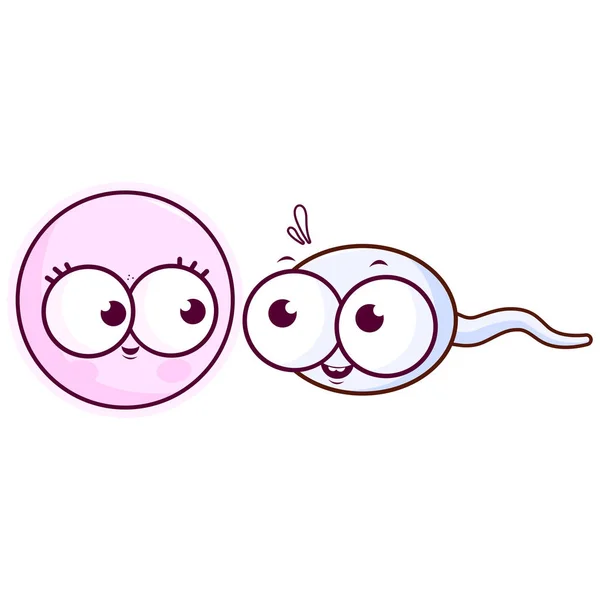 Sperme et ovocyte dessin animé — Image vectorielle