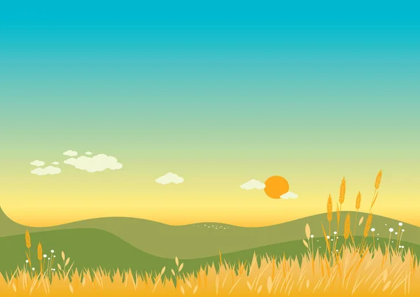 Fond d'été avec fleurs, blé et herbe — Image vectorielle