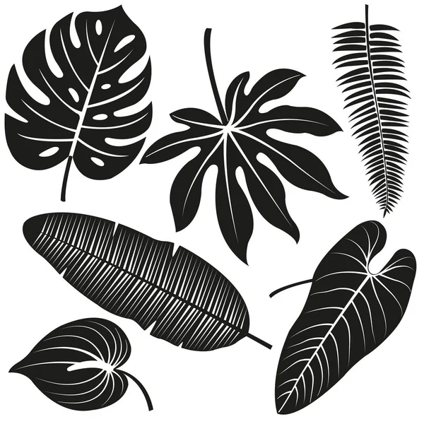 Tropikalne rośliny liści wektor sylwetka kolekcji. — Wektor stockowy