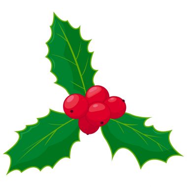 Holly berry fışkın