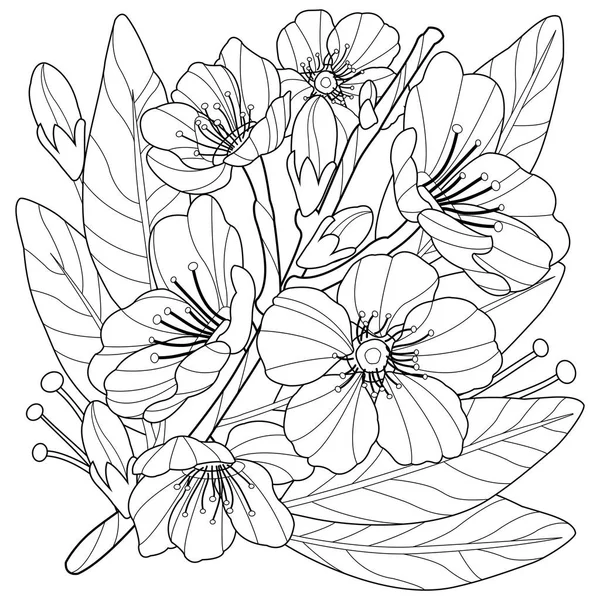 Floração ramo de amendoeira com flores. Desenho de livro para colorir —  Vetores de Stock