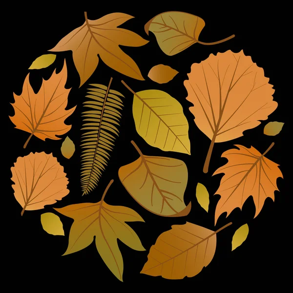 Trockene Herbstblätter auf schwarzem Hintergrund — Stockvektor