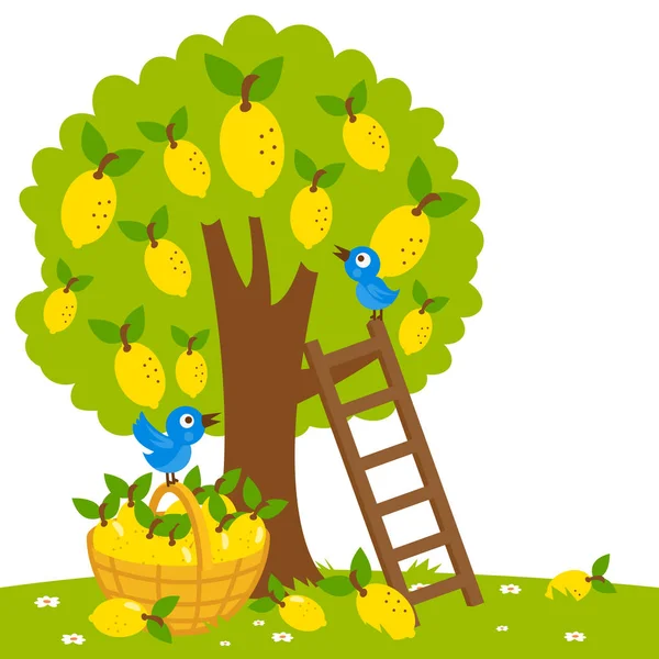 Лимонное дерево — стоковый вектор