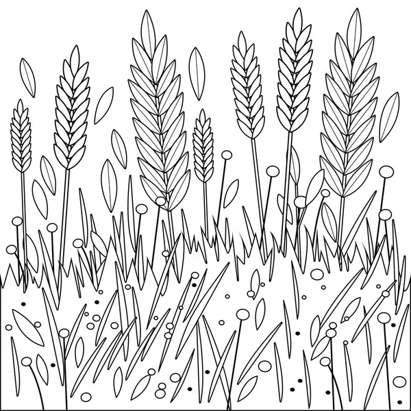 Weizen, Gerste oder Roggen. Schwarz-weißes Malbuch — Stockvektor