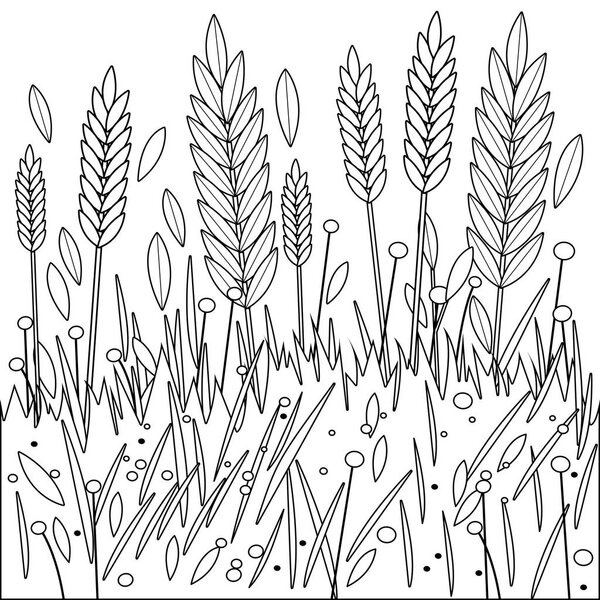 Поле пшеницы, ячменя или ржи. Черно-белая раскраска страницы книги
