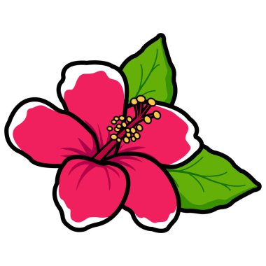 Hawaiian hibiscus çiçek
