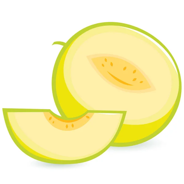 Melón — Vector de stock