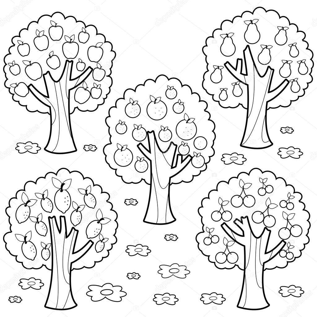 Fruit trees. Vector black and white coloring page.