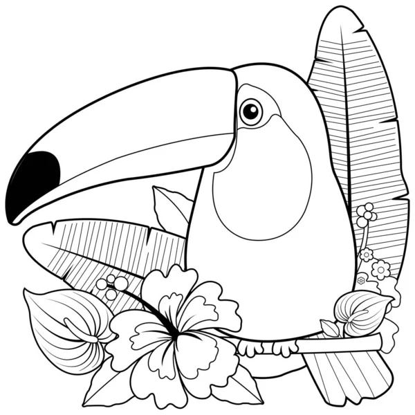 Toucan Madár Egzotikus Növények Virágok Vektor Fekete Fehér Színező Oldal — Stock Vector