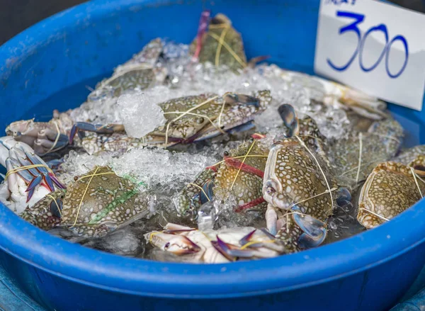 Caranguejo vivo para cozinhar que vendem em comida de rua de Bangkok, Tha — Fotografia de Stock