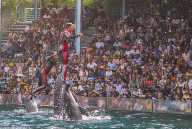 Yunus adam standı gösterir