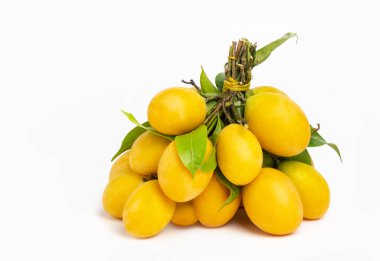 Beyaz arka planda yalıtılmış meyve, Tayland meyvesi adı Mayonez ya da İngilizce tatlı sarı Marian eriği. Tatlı ve ekşi meyve, yüksek C vitamini. Bir sürü sağlıklı organik Marian eriği ve yaprağı..