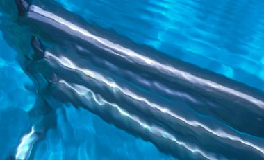 Paslanmaz çelik yüzme havuzu merdiveni, suya batırılmış yüzme havuzu merdiveni. Yukarıdan görünüm al, merdiveni kes su yüzeyini dalgalandır.