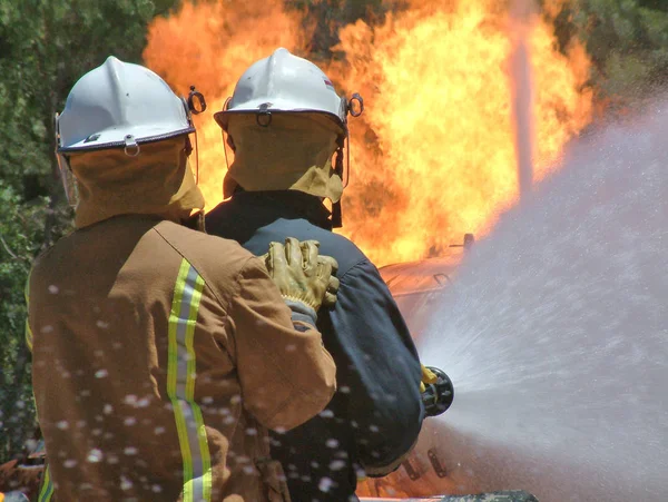 Bomberos en entrenamiento —  Fotos de Stock