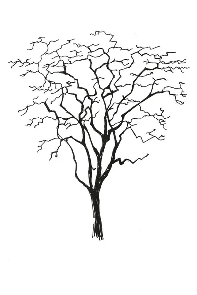 Siyah-beyaz grafik ağaçlar