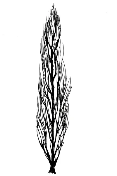 Siyah-beyaz grafik ağaçlar