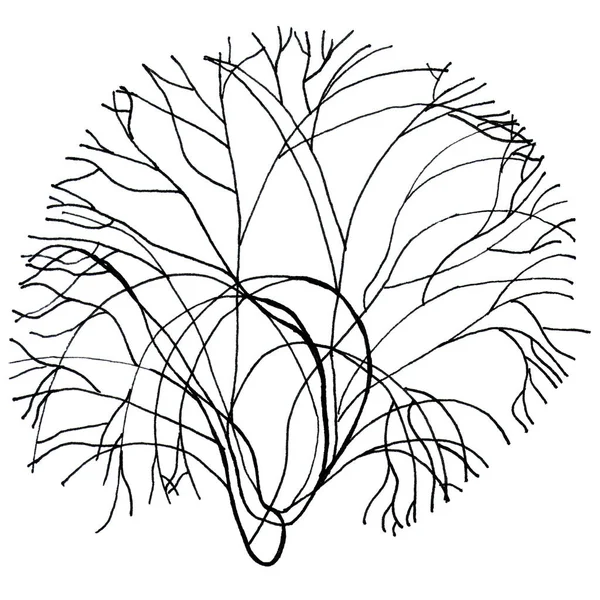 Siyah-beyaz grafik ağaçlar