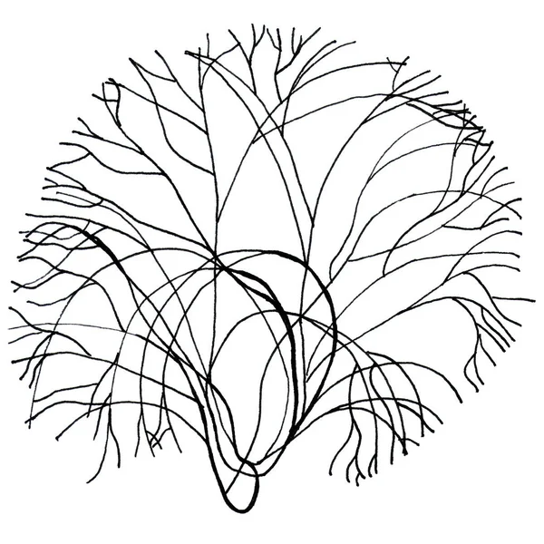흑백 그래픽 나무 — 스톡 사진