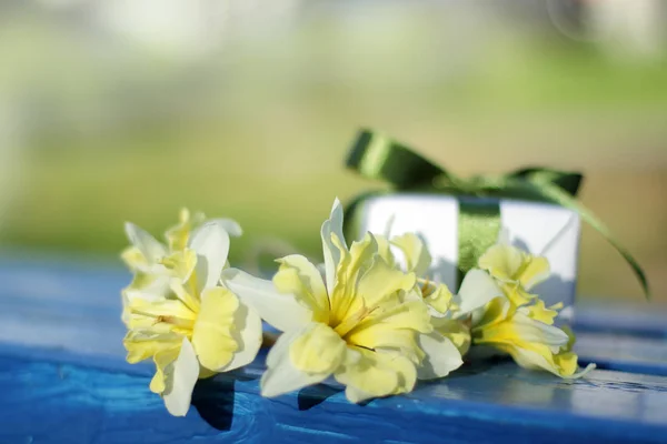 Festive background with flowers and a gift — Stock Photo, Image