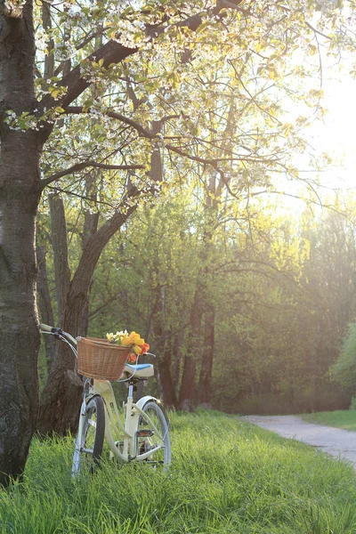 Spring landscape with floral bike — Stock Photo, Image