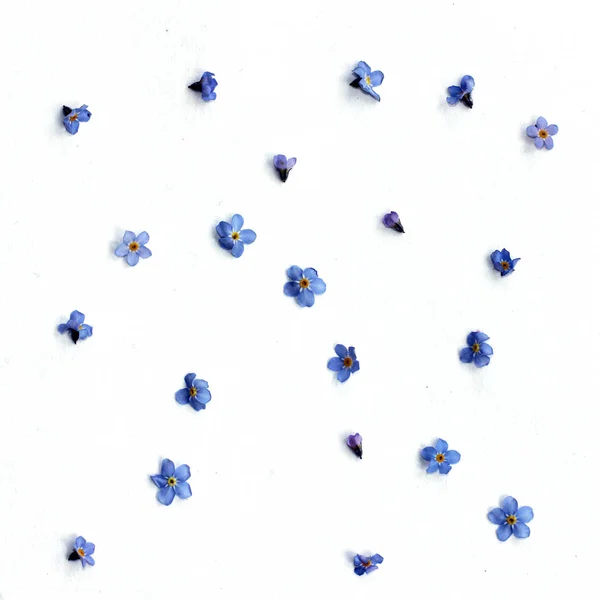 Arka plan mavi çiçekli — Stok fotoğraf