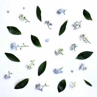 Çiçekli bahar arkaplanı 