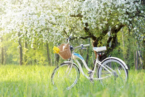 Een weekend in de natuur doorbrengen — Stockfoto