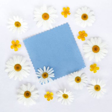 Papatya ile boş tebrik