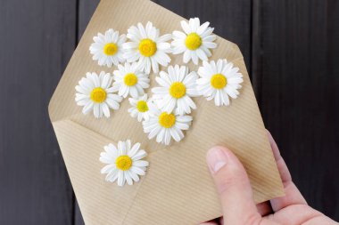 çiçekler takipçileri