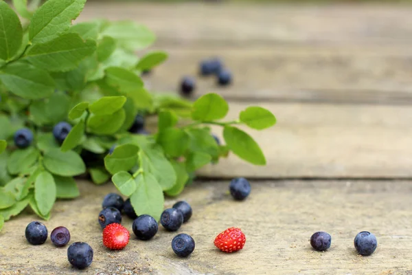 Frutas del bosque fresas silvestres y arándanos —  Fotos de Stock