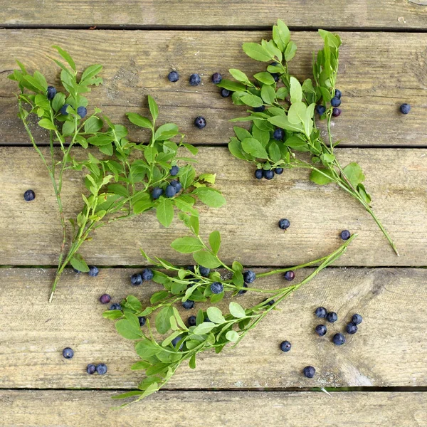 Yaz desen yabani çilek