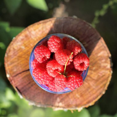 cam olgun ahududu ile dolu, yukarıdan bir güdük bahçede günbatımında tutuyoruz, görüntüleme 