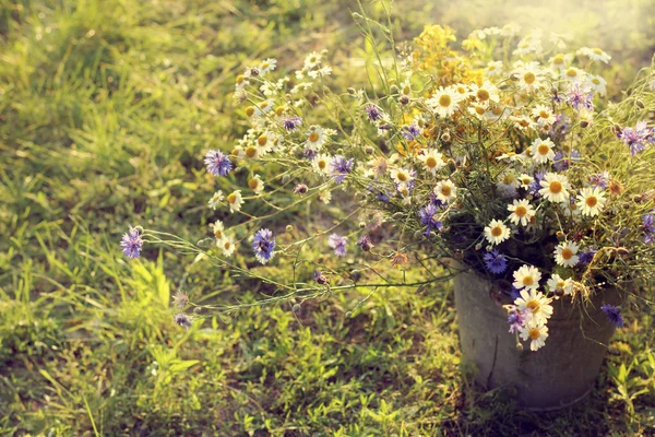Letní Pole Květiny Velké Kytice Kopretiny Chrpy Stojící Kýblu Trávě — Stock fotografie