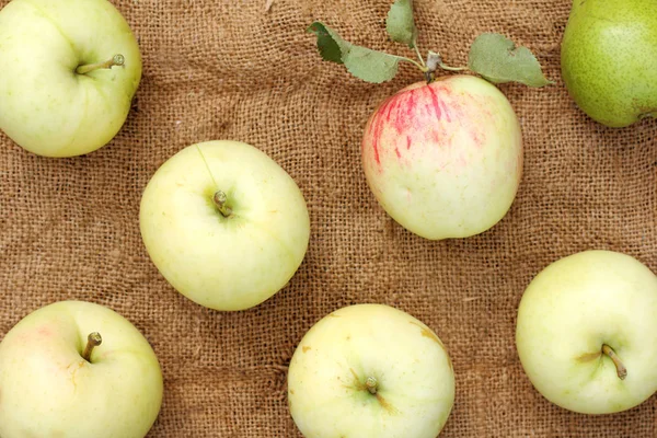 Colheita madura de maçãs e peras — Fotografia de Stock