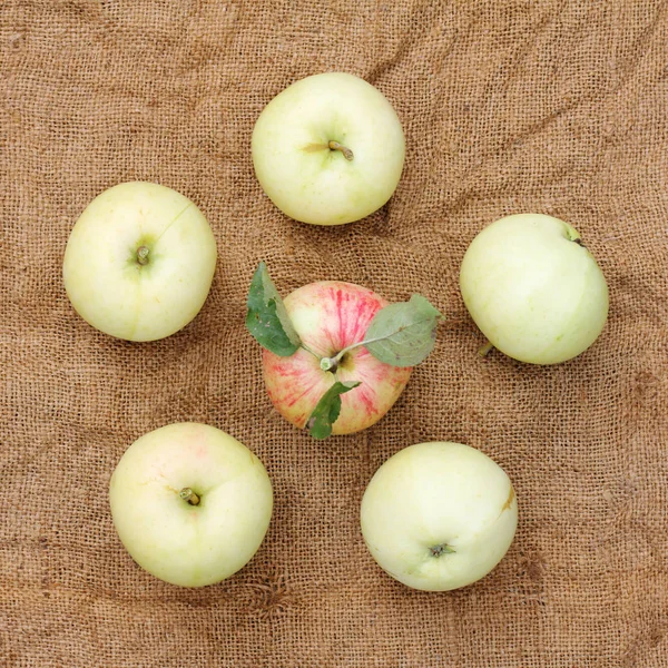 Colheita de frutos frescos naturais — Fotografia de Stock