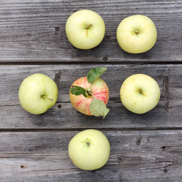 패턴 소박한 과일 — 스톡 사진