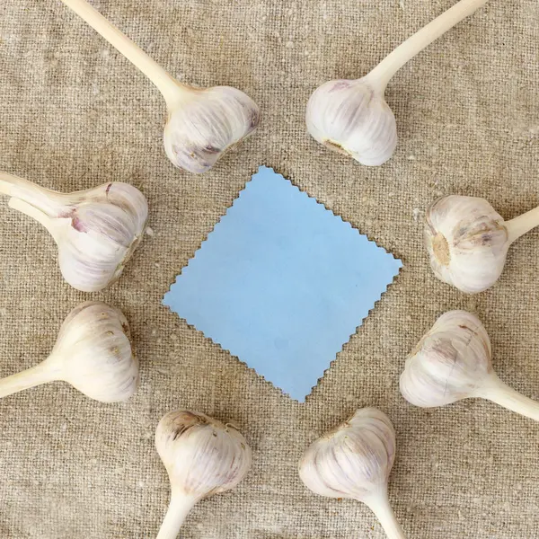 Δείτε Οκτώ Κεφάλια Σκόρδο Πεταμένα Στην Κορυφή Ύφασμα Μπλε Κάρτα — Φωτογραφία Αρχείου