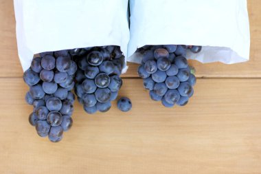 kırpma tatlı çilek