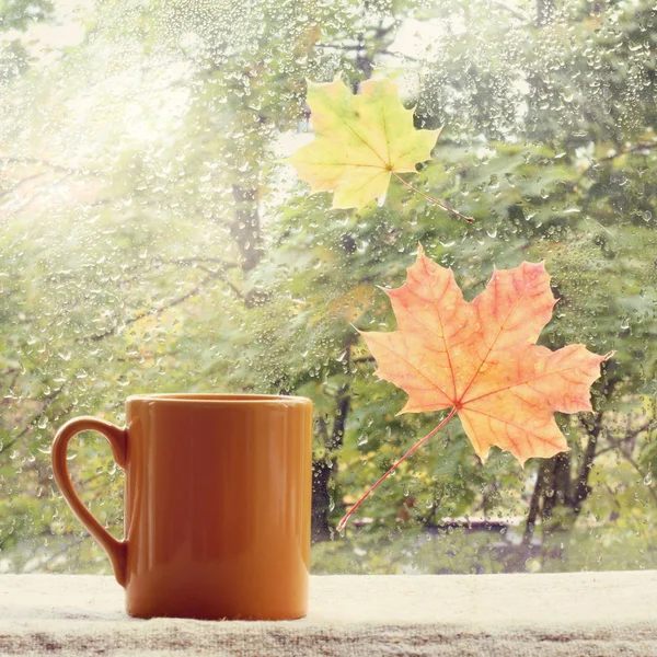 Tazza Della Bevanda Contro Finestra Con Gocce Pioggia Foglie Cadute — Foto Stock