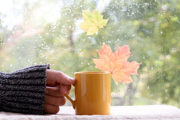 用秋天的天气对着窗户的杯温饮料 — 图库照片